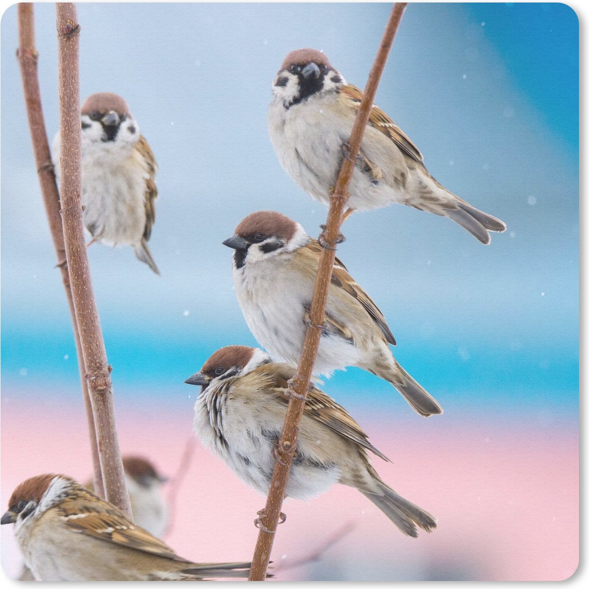 Muismat 20x20 cm - Mousepad Vogels - Mus - Dieren - Takken - Muismatten
