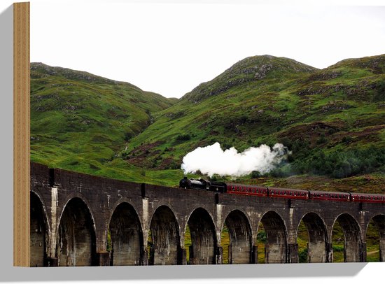 WallClassics - Hout - Stoomtrein over Brug bij Bergen - 40x30 cm - 12 mm dik - Foto op Hout (Met Ophangsysteem)