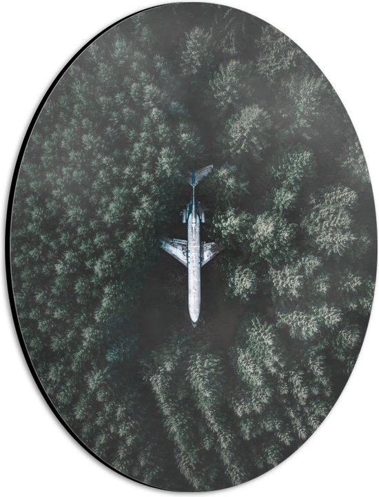 WallClassics - Dibond Ovaal - Neergestort Vliegtuig in Bos - 21x28 cm Foto op Ovaal (Met Ophangsysteem)