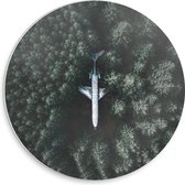 WallClassics - Plaque de Mousse PVC Cercle Mural - Avion Crashé en Forêt - 30x30 cm Photo sur Cercle Mural (avec système d'accrochage)