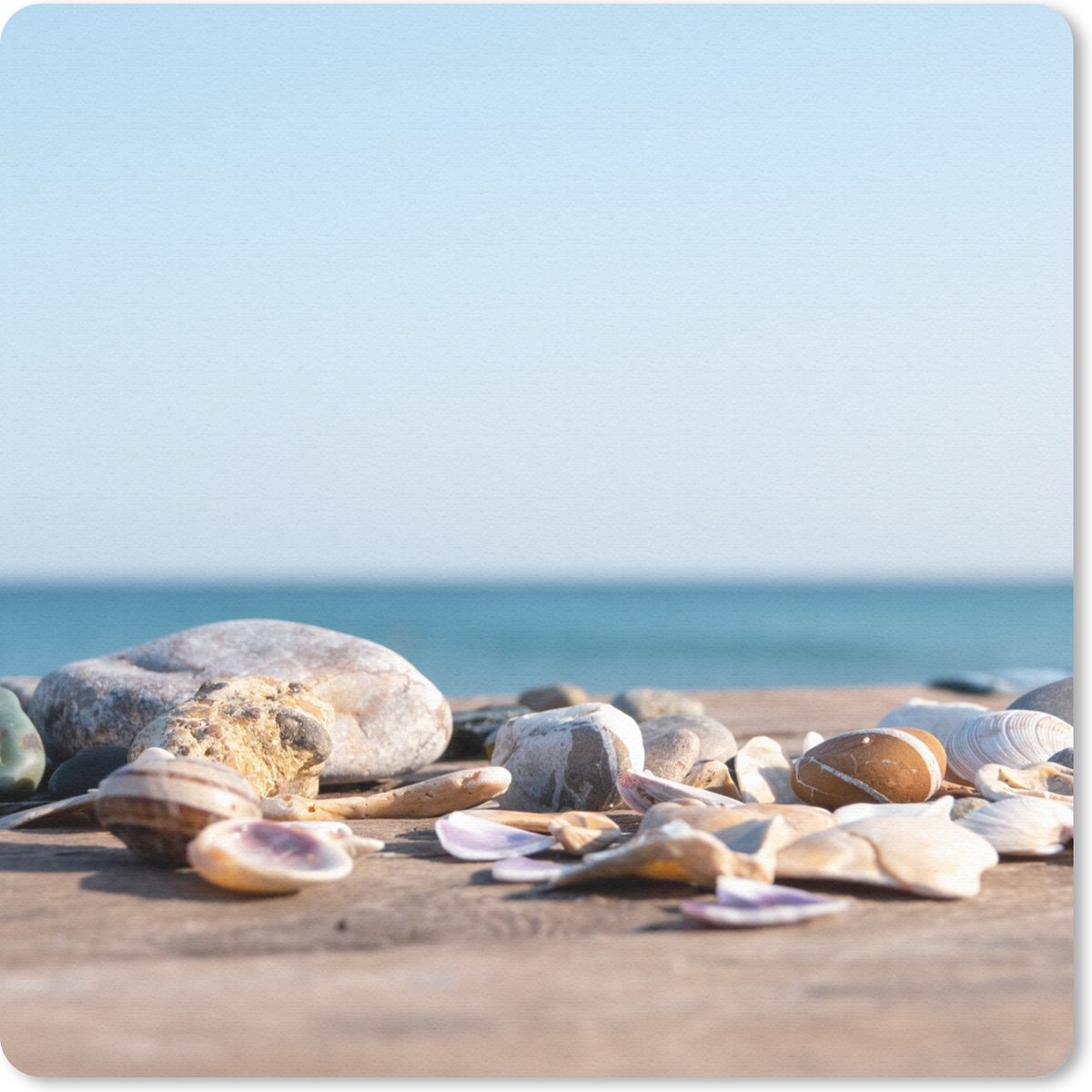 Muismat 30x30 cm - Mousepad Schelpen - Strand - Zee - Zomer - Zon - Muismatten