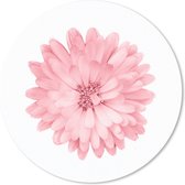 Muismat - Mousepad - Rond - Bloemen - Roze - Kamille - 30x30 cm - Ronde muismat