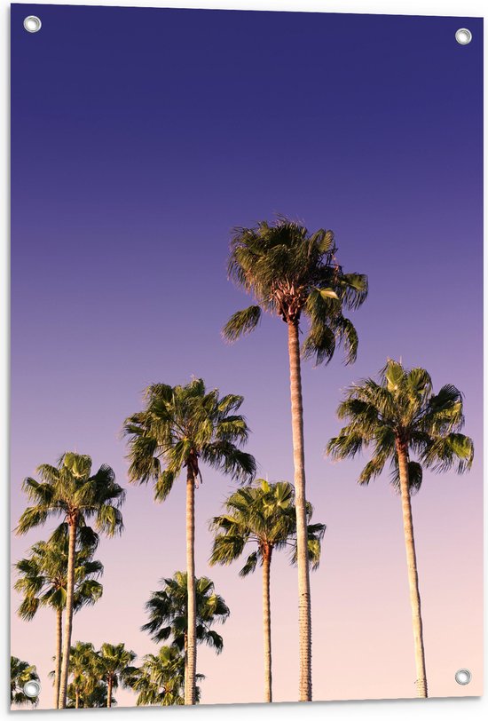 WallClassics - Tuinposter – Palmboomtoppen in de lucht - 60x90 cm Foto op Tuinposter  (wanddecoratie voor buiten en binnen)