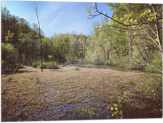 WallClassics - Drapeau - Zone marécageuse - Photo 80x60 cm sur drapeau polyester