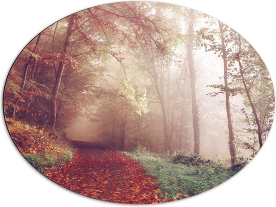 WallClassics - Dibond Ovaal - Mistig Herfstbos - 80x60 cm Foto op Ovaal (Met Ophangsysteem)