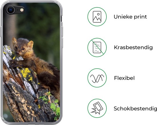 Coque iPhone 8 - Martre - Arbre - Forêt - Coque de téléphone en Siliconen