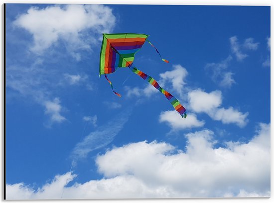 WallClassics - Dibond - Regenboog Vlieger in de Lucht - 40x30 cm Foto op Aluminium (Wanddecoratie van metaal)