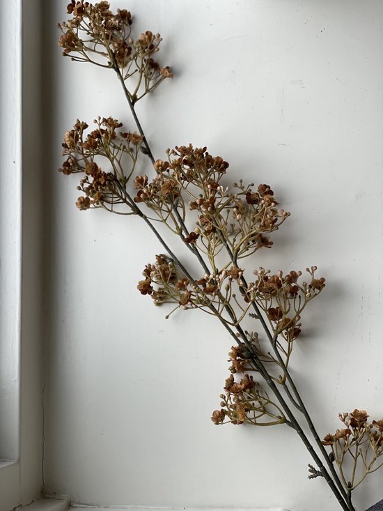 Brynxz - fleur en soie - fleur artificielle - gypsophile - marron | bol.com