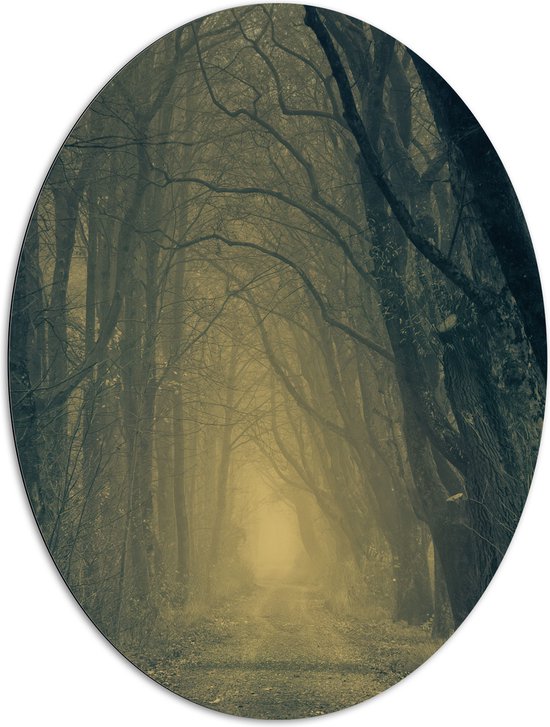 WallClassics - Dibond Ovaal - Mist op Bospad Omringd door Bomen - 81x108 cm Foto op Ovaal (Met Ophangsysteem)