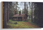 WallClassics - Bois - Maison de la Nature dans la Forêt - 60x40 cm - 12 mm d'épaisseur - Photo sur Bois (Avec Système d'accrochage)