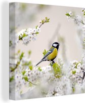 Canvas - Schilderij - Vogel - Koolmees - Bloemen - Bloesemboom - Wit - Schilderijen op canvas - Foto op canvas - 50x50 cm - Muurdecoratie - Woonkamer