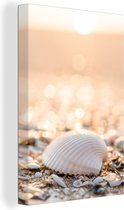 Toile - Peintures sur Toile - Coquillages - Plage - Soleil - Décoration de Chambre - Impression sur Canvasdoek - Photo sur Toile - 40x60 cm - Salon