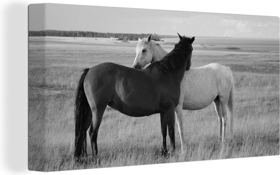 Canvas schilderij - Dieren - Paarden - Gras - Natuur - Woondecoratie - Canvas - 80x40 cm - Foto op canvas - Woonkamer