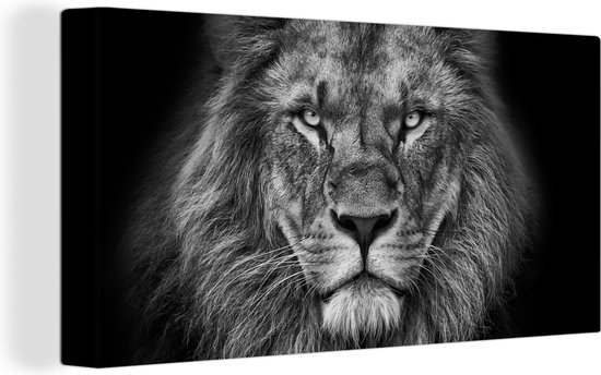 Tableau sur toile - Animaux sauvages - Lion - Zwart - Wit - Décoration murale - Toile - 80x40 cm - Salon - Toile Canvasdoek