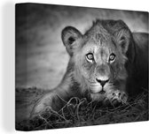 Canvas - Wilde dieren - Leeuw - Natuur - Zwart - Wit - Woonkamer - 80x60 cm - Muurdecoratie - Schilderijen op canvas - Canvas doek