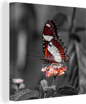 Canvas - Dieren - Vlinder - Bloemen - Natuur - Oranje - Woonkamer - 50x50 cm - Canvas doek - Schilderijen op canvas