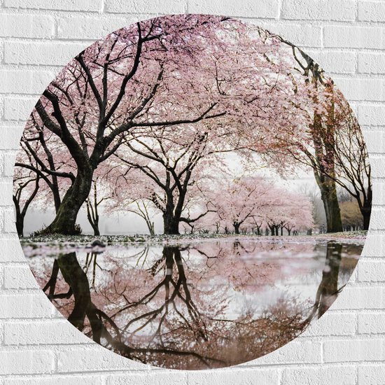 WallClassics - Muursticker Cirkel - Prachtige Bloesem Bomen - 100x100 cm Foto op Muursticker