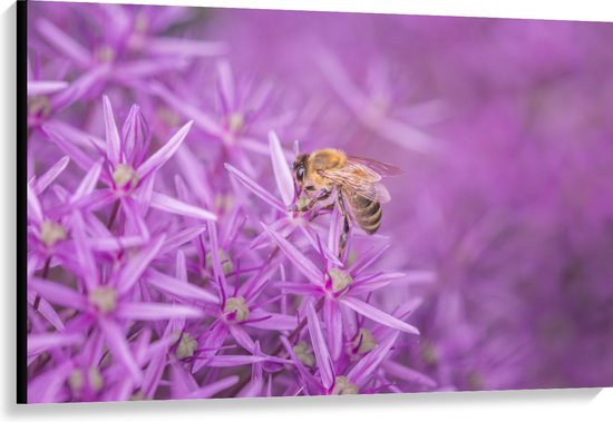 WallClassics - Canvas  - Paarse Bloemen met Bij - 120x80 cm Foto op Canvas Schilderij (Wanddecoratie op Canvas)