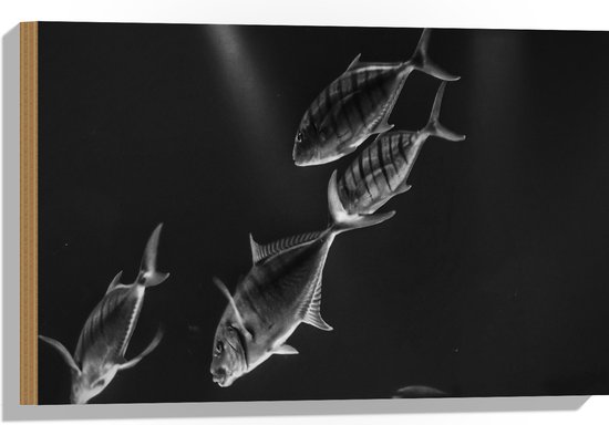 WallClassics - Hout - Vissen in het Aquarium Zwart - Wit - 60x40 cm - 12 mm dik - Foto op Hout (Met Ophangsysteem)