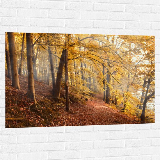 WallClassics - Muursticker - Zonnestralen tussen Herfstbos - 120x80 cm Foto op Muursticker