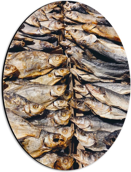 WallClassics - Dibond Ovaal - Verse Vissen op een Vismarkt - 30x40 cm Foto op Ovaal (Met Ophangsysteem)