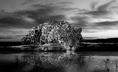 Fotobehangkoning - Behang - Fotobehang - Luipaard - Jaguar - Panter - Cheetah - Zwart-wit - Vliesbehang - 152,5 x 104 cm