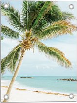 WallClassics - Tuinposter – Palmboom op Wit Strand - 30x40 cm Foto op Tuinposter  (wanddecoratie voor buiten en binnen)