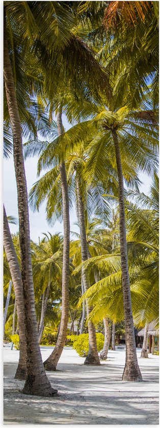 WallClassics - Poster Glanzend – Grote Groene Palmbomen - 30x90 cm Foto op Posterpapier met Glanzende Afwerking