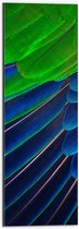 WallClassics - Dibond - Prachtige Blauwe en Groene Veren - 20x60 cm Foto op Aluminium (Met Ophangsysteem)
