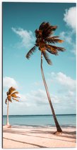 WallClassics - Dibond - Grote en Kleine Palmboom aan het Water - 50x100 cm Foto op Aluminium (Met Ophangsysteem)