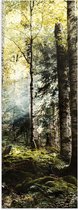WallClassics - Poster Glossy - Arbres Verts avec Soleil - 20x60 cm Photo sur Papier Poster avec Finition Brillante