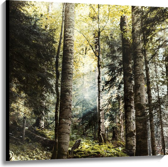 WallClassics - Canvas  - Groene Bomen met Zon - 100x100 cm Foto op Canvas Schilderij (Wanddecoratie op Canvas)