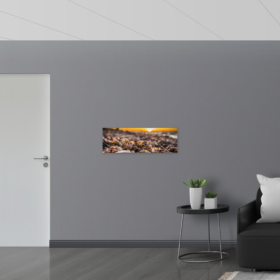 WallClassics - Poster Glossy - Grands Tas d'Escargots au Bord de l' Water - 90x30 cm Photo sur Papier Poster avec Finition Brillante