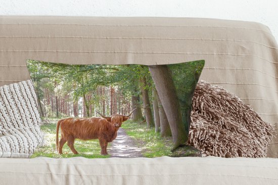 Sierkussen Indoor Forest Life - Highlander écossais sur la route - 60x40 cm - Coussin intérieur rectangulaire en coton