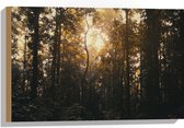 WallClassics - Bois - Crépuscule dans la forêt - 60x40 cm - Épaisseur 12 mm - Photo sur bois (avec système de suspension)