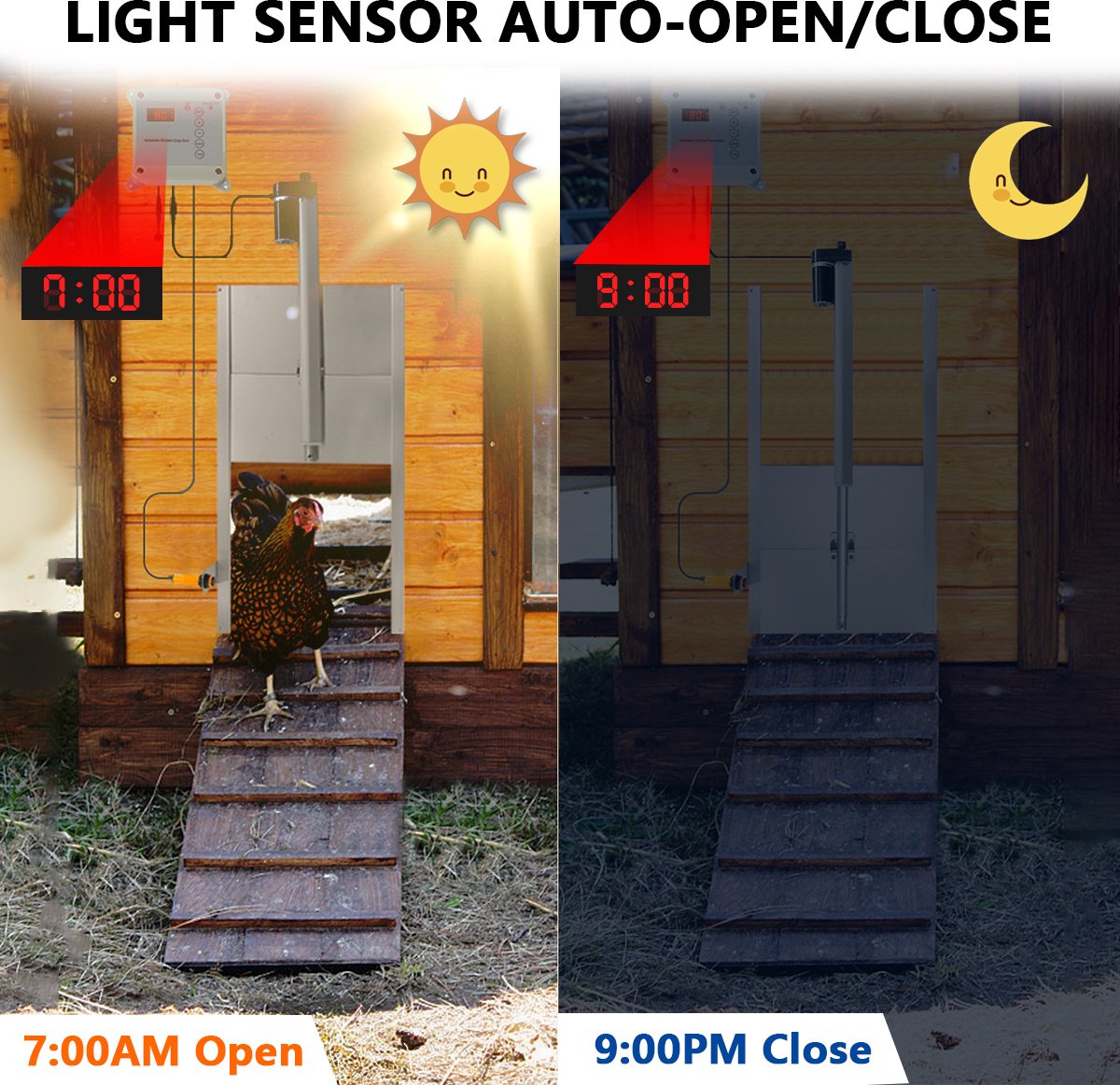 Automatische Kippenhokdeur Met Lichtsensor, Timer En 2 Afstandsbedieningen - Op Zonne-Energie