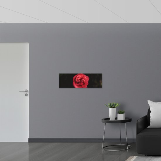 WallClassics - Drapeau - Rose Rouge Vif avec Fond Foncé - 90x30 cm Photo sur Drapeau Polyester