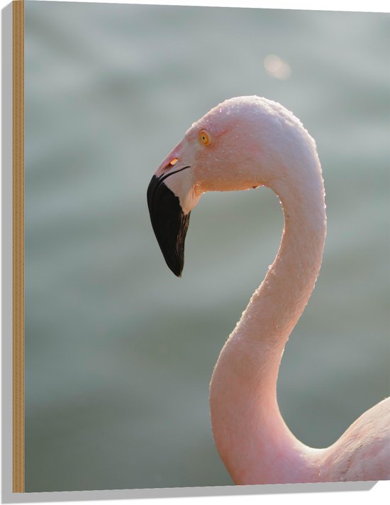 WallClassics - Hout - Gezicht van Roze FLamingo - 60x80 cm - 12 mm dik - Foto op Hout (Met Ophangsysteem)