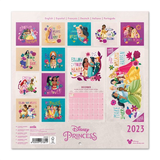 Neuken Worstelen Maan Disney Prinses kalender 2023 - tekenfilm - formaat 30x30cm | bol.com