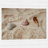 WallClassics - Muursticker - Drie Schelpjes in Zand - 80x60 cm Foto op Muursticker