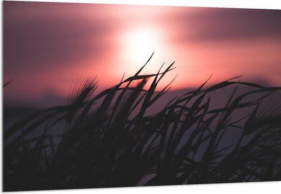WallClassics - Acrylglas - Donkere Grassen bij Rozekleurige Lucht - 150x100 cm Foto op Acrylglas (Wanddecoratie op Acrylaat)