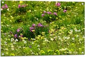 WallClassics - Poster de jardin - Fleurs colorées entre l'herbe verte - 90x60 cm Photo sur poster de jardin (décoration murale pour l'extérieur et l'intérieur)