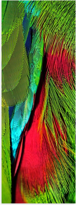 WallClassics - Poster (Mat) - Groen met Rode Veren van een Vogel - 30x90 cm Foto op Posterpapier met een Matte look