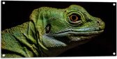 WallClassics - Tuinposter – Groen Reptiel met Zwarte Achtergrond - 100x50 cm Foto op Tuinposter  (wanddecoratie voor buiten en binnen)