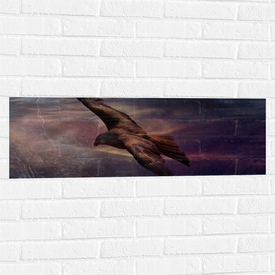 WallClassics - Muursticker - Golden Eagle Vliegend - 90x30 cm Foto op Muursticker