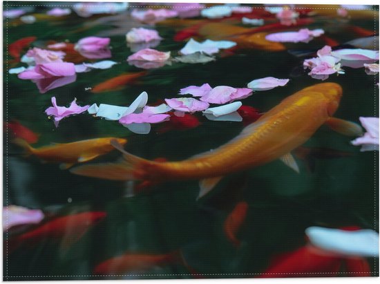 WallClassics - Vlag - Goudvissen in Water met Bloemblaadjes - 40x30 cm Foto op Polyester Vlag