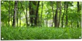 WallClassics - Tuinposter – Groen Gras aan de Bosrand - 100x50 cm Foto op Tuinposter  (wanddecoratie voor buiten en binnen)
