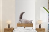 Behang kinderkamer - Fotobehang Kitten - Kat - Huisdieren - Jongens - Kinderen - Meisjes - Breedte 120 cm x hoogte 240 cm - Kinderbehang