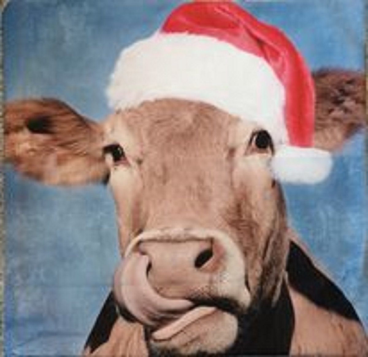 Kussenhoes - kerst - grappige koe met kerstmuts - 43 | bol.com