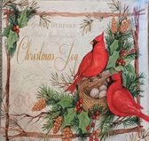 Kussenhoes - kerst - Chrismas - vogeltjes - 38